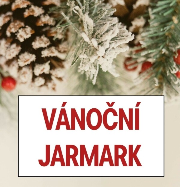 Vánoční jarmark (foto 1)