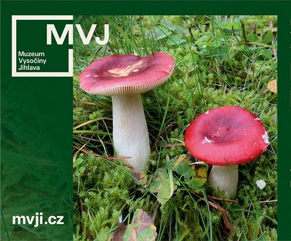 Přednáška: Houby PP Ratajské rybníky (foto 1)