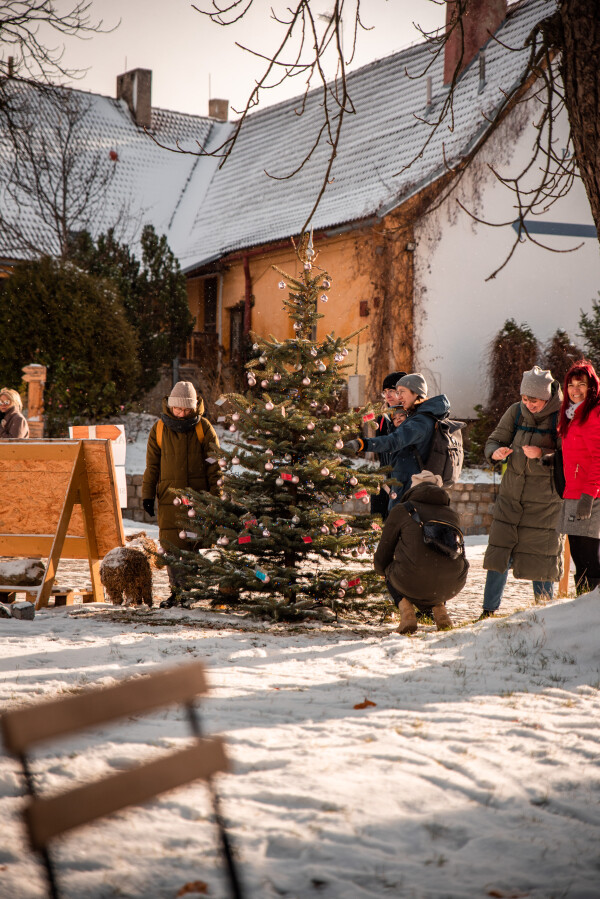 Adventní trhy a Stromeček splněných přání (foto 1)