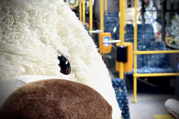 Vánoční trolejbus v Jihlavě (foto 1)
