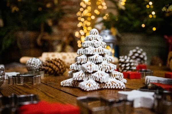 Farmářský vánoční trh (foto 1)