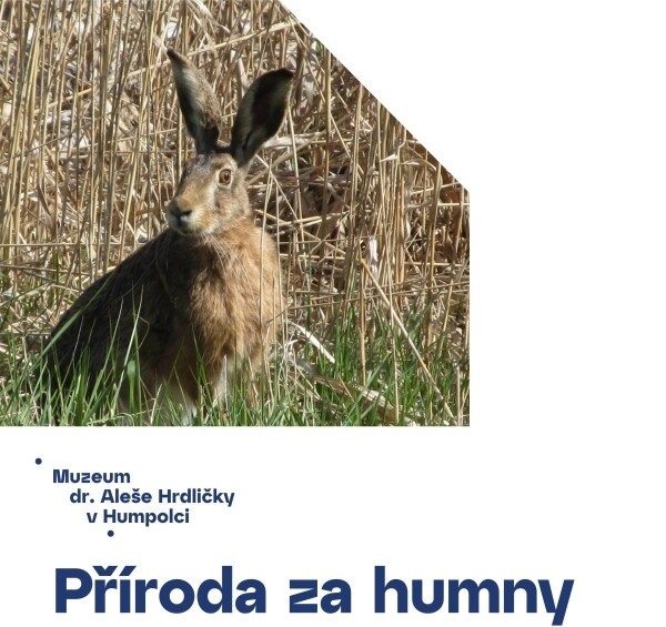 Příroda za humny (foto 1)