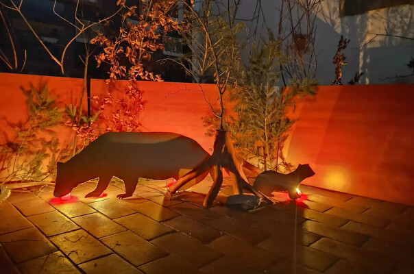 Co se děje v noci (foto 1)