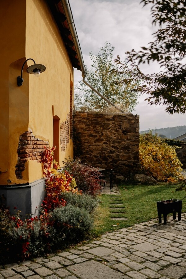 Beseda: S Markem za gorilami (foto 1)