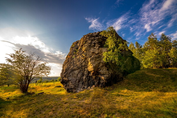 Den otevřených lesů u Vávrovy skály (foto 1)