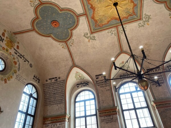 NETRADIČNÍ PROHLÍDKY PŘIBLÍŽÍ PESACH (foto 1)