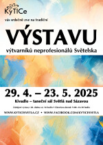VÝSTAVA VÝTVARNÍKŮ NEPROFESIONÁLŮ SVĚTELSKA (foto 2)