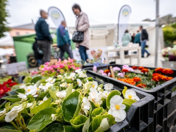 Farmářský trh v Parku Gustava Mahlera (foto 1)