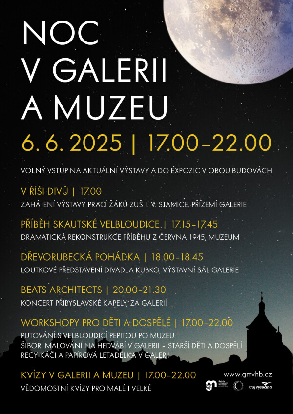 Noc v galerii a muzeu (foto 1)