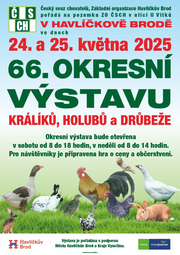 okresni-vystava-kraliku-holubu-a-drubeze