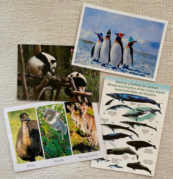 postcrossing1
