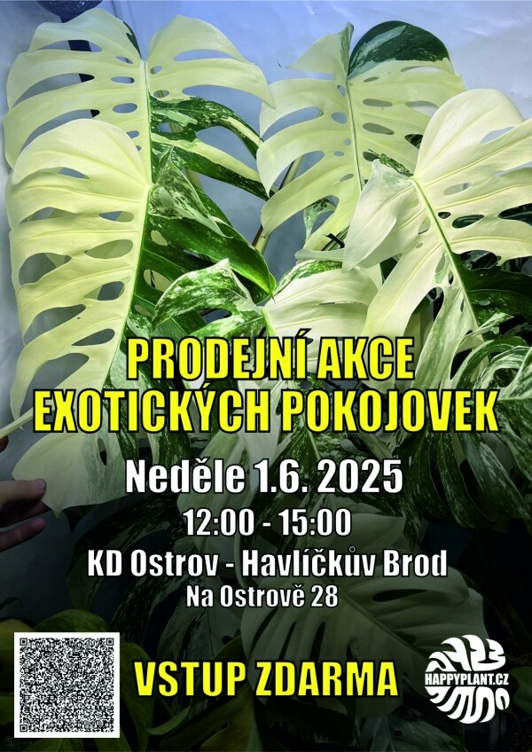 prodejni-akce-exotickych-pokojovek