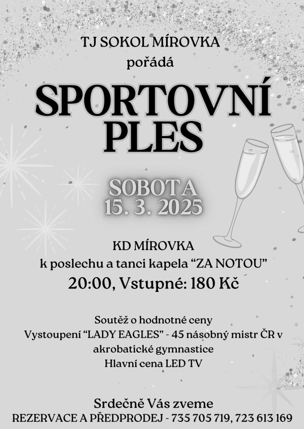 sportovni-ples