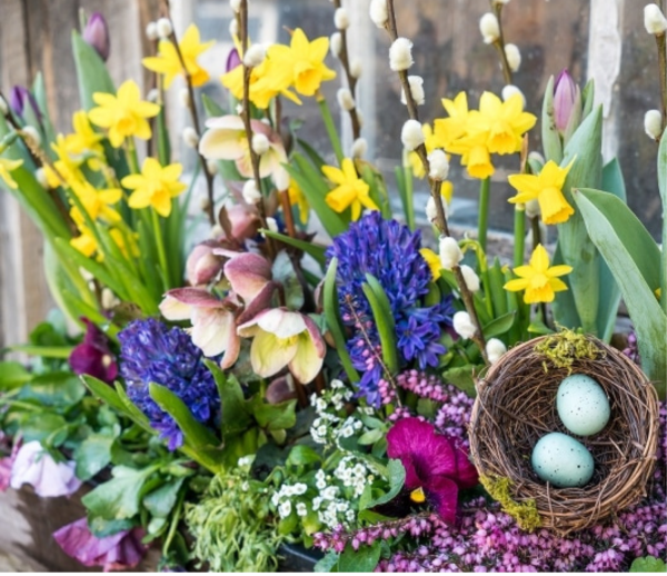 Symbolika velikonočních rostlin (foto 1)