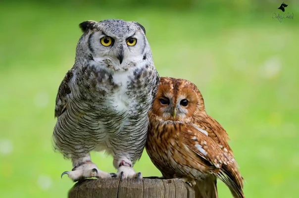 Komentované krmení zvířat v zoo Jihlava 2026 (foto 1)
