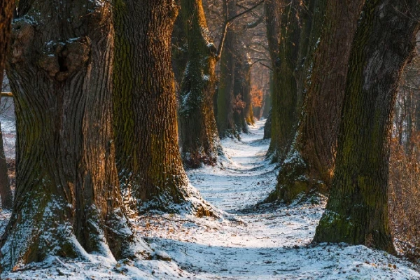Vysočina objektivem Fotoklubu Vysočina (foto 1)