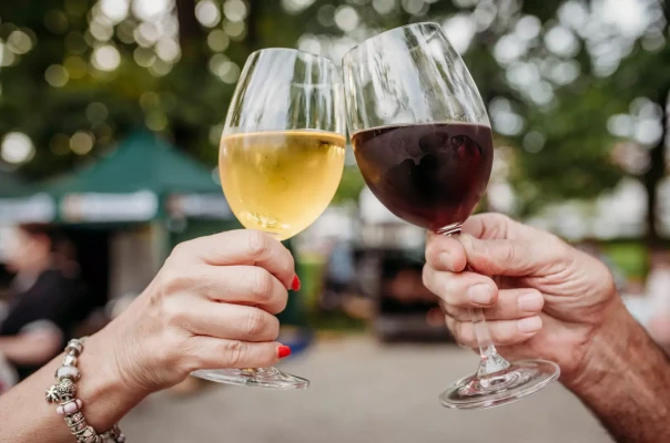 Humpolecké vinobraní 2026 (foto 1)