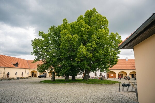 Velikonoce na Edenu 2026 (foto 1)