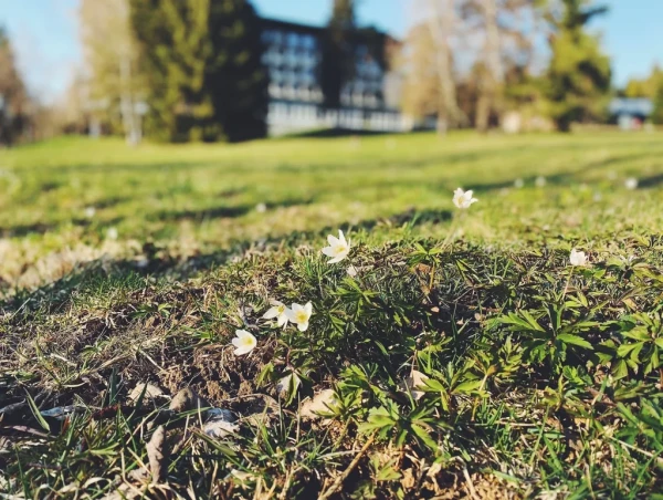 Velikonoční dílničky (foto 1)