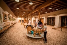 TIC Panský dvůr Telč (foto 6)
