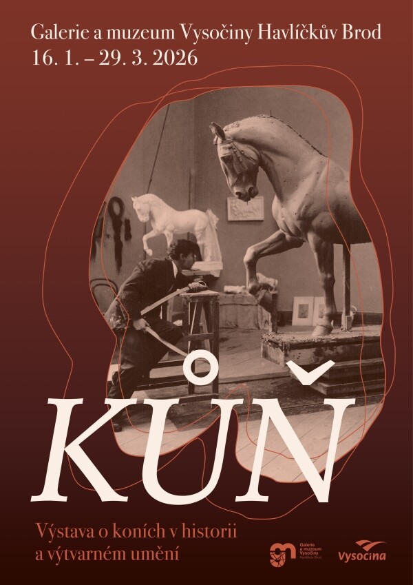 Kůň v historii a ve výtvarném umění (foto 1)