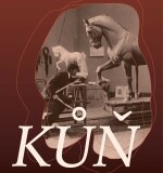 Kůň v historii a ve výtvarném umění (foto 2)