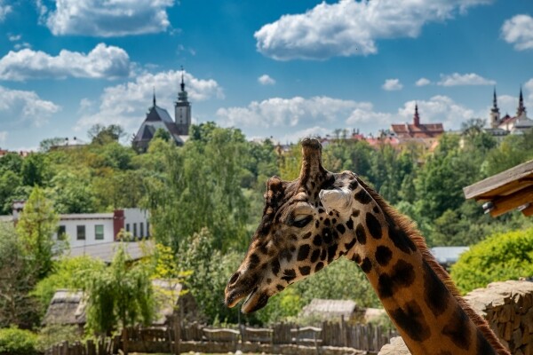 Den ptactva a Velikonoce v zoo Jihlava (foto 1)
