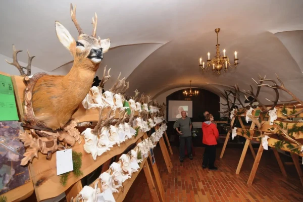 Chovatelská přehlídka trofejí na zámku v Náměšti nad Oslavou (foto 1)