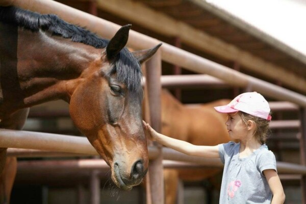 Hospodářský dvůr Bohuslavice (foto 1)