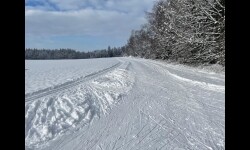 Běžkařské trasy Vlasenice (foto 3)