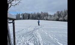 Běžkařské trasy Vlasenice (foto 4)