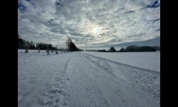 Běžkařské trasy Vlasenice (foto 5)