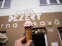 Sladké putování (foto 11)