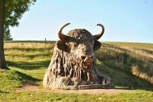 Putování po sochách Michala Olšiaka (foto 7)