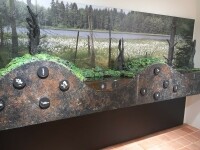 Zvýhodněná návštěvnická vstupenka (foto 5)