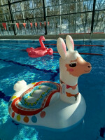 img-20250218-132646-88