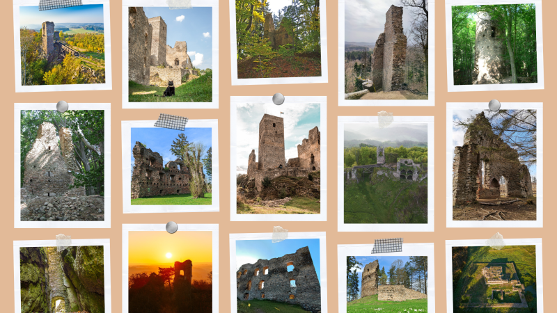 Canva Zř&iacute;ceniny